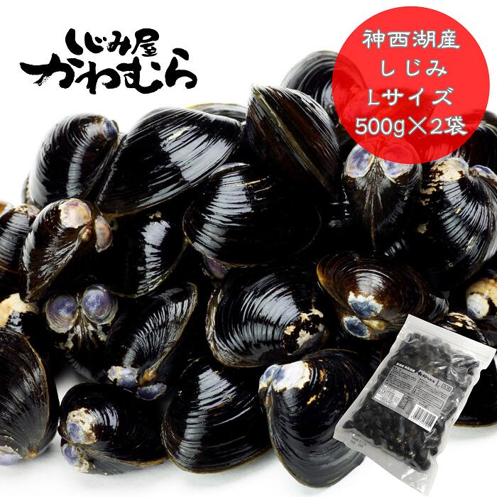 [神西湖産]プリプリ!冷凍砂抜きしじみ Lサイズ/500g×2袋 小分け 砂抜き済 貝 詰め合わせ お取り寄せ グルメ kai cai 栄養 料理 調理 レシピ 蜆 島根県 出雲市