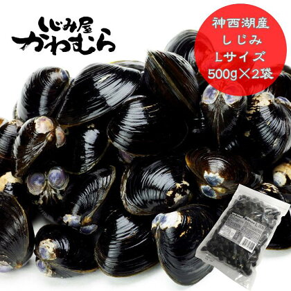 【神西湖産】プリプリ！冷凍砂抜きしじみ　Lサイズ/500g×2袋 小分け 砂抜き済 貝 詰め合わせ お取り寄せ グルメ kai cai 栄養 料理 調理 レシピ 蜆 島根県 出雲市