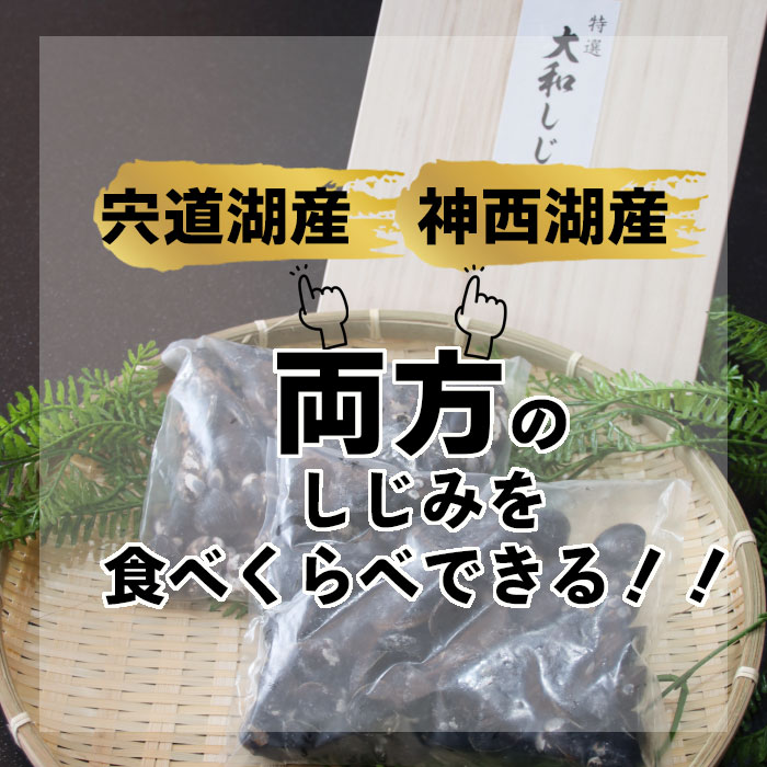 【ふるさと納税】厳選特大しじみ詰め合わせ 1kg (500g×2袋) 食べ比べ 宍道湖 神西湖 小分け 砂抜き済 貝 詰め合わせ お取り寄せ グルメ kai cai 栄養 料理 調理 レシピ 蜆 島根県 出雲市