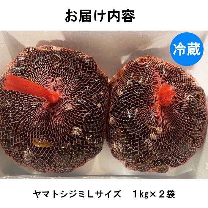 【ふるさと納税】しまねのヤマトシジミ Lサイズ 大和しじみ 生 冷蔵 大粒 島根県産 味噌汁 酒蒸し 炊き込み ご飯