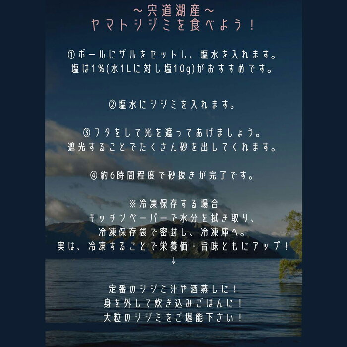 【ふるさと納税】しまねのヤマトシジミ Lサイズ 大和しじみ 生 冷蔵 大粒 島根県産 味噌汁 酒蒸し 炊き込み ご飯 3