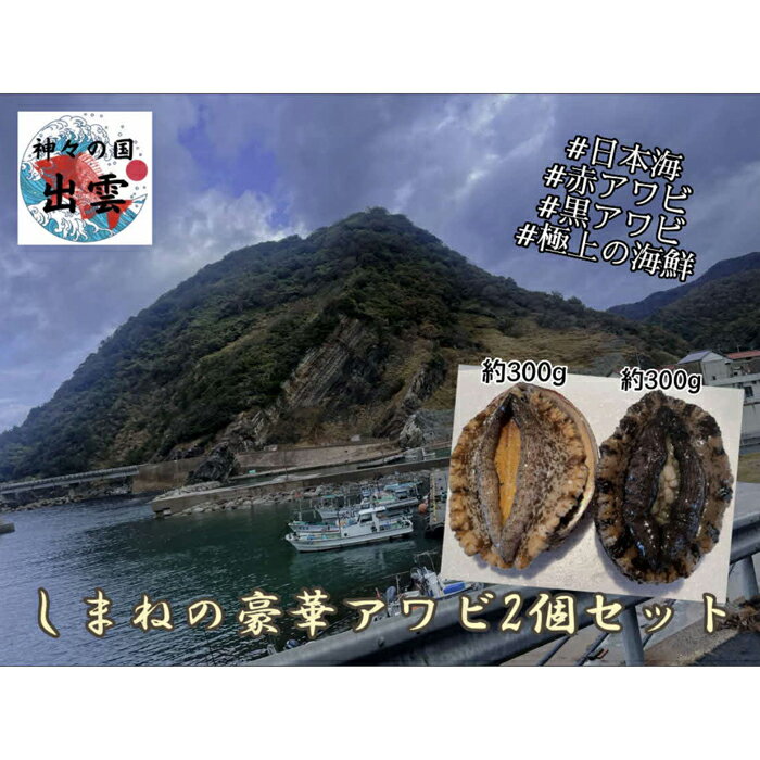 【ふるさと納税】赤VS黒!しまねの天然アワビ食べ比べセット(計0.6kg以上) | 生 冷蔵 赤アワビ 黒アワビ 刺身 バーベキュー 酒蒸し 島根