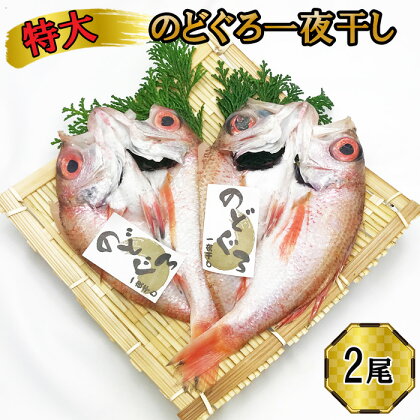 【緊急支援品】特大 のどぐろ 一夜干し 2尾セット ギフト お中元 お歳暮 父の日 母の日 包装 のし 対応可 お取り寄せグルメ