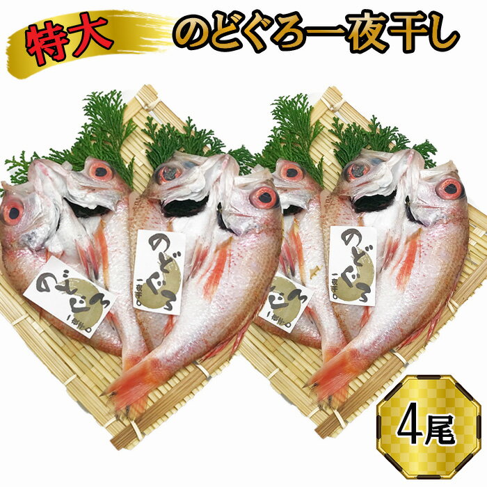 【ふるさと納税】【緊急支援品】 特大 のどぐろ 一夜干し 2尾×2箱 セット 800g ギフト お中元 お歳暮 父の日 母の日 包装 のし 対応可 お取り寄せグルメ