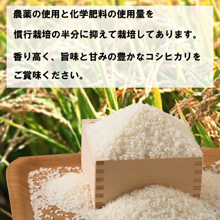 【ふるさと納税】特別栽培米 出雲市産コシヒカリ 10kg　減農薬 2023年 令和5年産 単品　6回 12回 定期便 お米 こしひかり