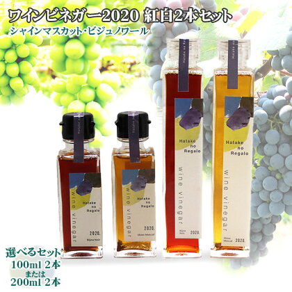 ワインビネガー 2020年 紅白2本セット(シャインマスカット・ビジュノワール）100ml 200ml| wine 酢 お酢 詰め合わせ 詰合せ 高級 葡萄 ぶどう 人気 おすすめ お取り寄せ 調味料 化粧箱 ギフト 贈答 プレゼント 島根県 出雲市