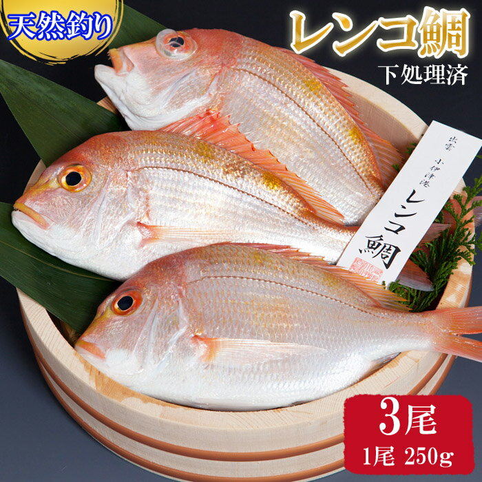 [緊急支援品]天然 釣り レンコ鯛 750g (250g×3尾) 下処理済 タイ 魚 魚介類 海の幸 冷凍