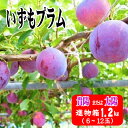 ・ふるさと納税よくある質問はこちら ・寄付申込みのキャンセル、返礼品の変更・返品はできません。あらかじめご了承ください。 ・ご要望を備考に記載頂いてもこちらでは対応いたしかねますので、何卒ご了承くださいませ。 ・寄付回数の制限は設けておりません。寄付をいただく度にお届けいたします。 品名 いずもプラム 商品概要 いずもプラムを作っている「複合果樹研究会」は、果樹の周年栽培による農家手取りの向上と遊休ハウスの有効利用を促進することを目的に平成15年に設立しました。ぶどうを主に栽培しているぶどう作りのプロの生産者たちが、そのノウハウを活かして美味しいプラム作りに日々励んでいます。7月初旬から「貴陽」の出荷が始まり、7月下旬から「太陽」へ移行し、8月下旬まで出荷が続きます。貴陽（きよう）：表皮の色は紅色、果肉はクリーム色です。熟してくると、果底部にひびのような縞模様が出てきます。糖度も高く、かすかな酸味が独特なる甘みをさらに際立たせます。従来のプラムのイメージを覆す逸品です。太陽：表皮の色は濃い赤紫色で、果肉はやや乳白色です。糖度は高く、酸味と甘みのバランスが絶妙です。味・外観の美しさに加え、日持ちが良いことで人気があります。 内容量 ・いずもプラム進物箱規格：1.2kg箱(貴陽または太陽）内容量：6玉～12玉※数に限りがあります。※その時期においしい品種をお送りいたしますので、品種は選べません。※商品の発送は冷蔵で送りますが、到着後は常温で保存し、触ったときに弾力が出てくる頃が食べごろです。 産地名 出雲市産 名称 プラム 賞味期限 3～5日※触って弾力がある状態が食べ頃です。 配送不可地域 ・伊豆諸島：青ヶ島村（青ヶ島）・利島村（利島）・御蔵島村（御蔵島）・式根島・小笠原諸島：小笠原村（父島・母島・硫黄島・南鳥島など 提供事業者 島根県農業協同組合出雲地区本部 ワンストップ特例申請書について ■ワンストップ特例申請書 ・ワンストップ特例申請書は受領書と一緒にお送り致します。 ・ワンストップ特例申請書は入金確認後1ヶ月以内に注文内容確認画面の【注文者情報】に記載の住所へお送り致します。 ・お急ぎの場合は、次のページから申請書をダウンロードし、必要事項を御記入のうえ下記送付先宛てにお送りください。（郵送代は申請者様負担となります。） https://event.rakuten.co.jp/furusato/guide/onestop.html 〒693-8530 島根県出雲市今市町70番地 出雲市役所 総合政策部 縁結び定住課 ふるさと寄附係 ・ふるさと納税よくある質問はこちら ・寄付申込みのキャンセル、返礼品の変更・返品はできません。あらかじめご了承ください。