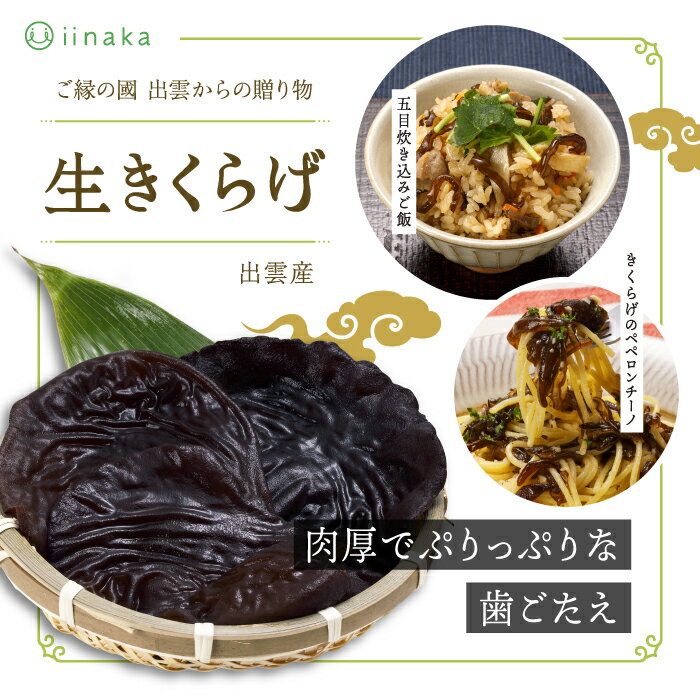 【ふるさと納税】出雲市産生きくらげ | 肉厚 ぷりぷり 中華 天ぷら 炒めもの マリネ 冷凍 保存可 菌床