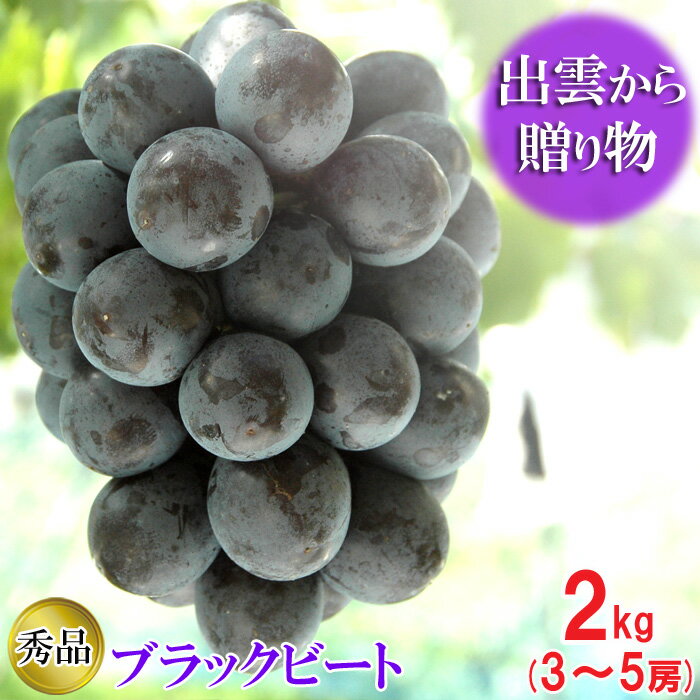 [農家直送]厳選ブラックビート2kg箱(3〜5房)[持田農園] | 農家直送 厳選 房 秀品 ギフト 贈答 ぶどう 葡萄 果物 フルーツ お取り寄せ