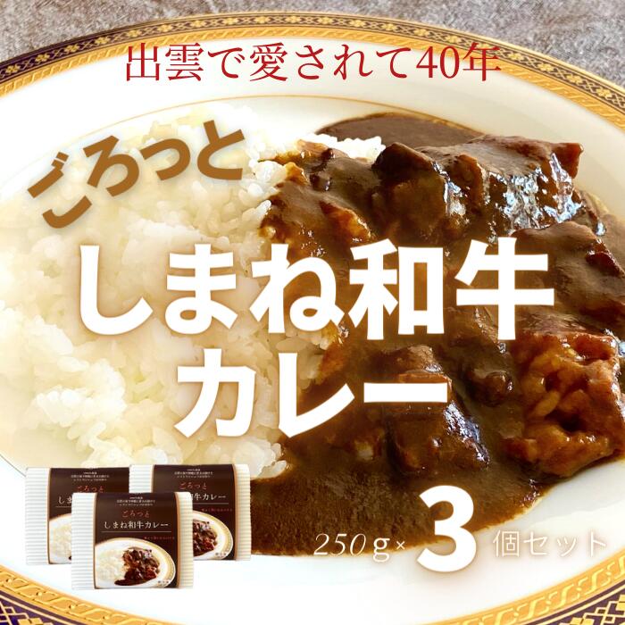 ごろっと しまね和牛カレー3食セット 冷凍 黒毛和牛 お惣菜 手造り レストラン ディナー 本格派 レストラン 真空パック