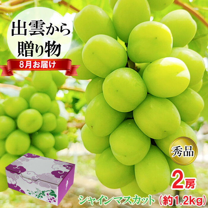 [農家直送]厳選シャインマスカット1.2kg箱(8月出荷)[持田農園] | お盆 発送 農家直送 厳選 シャインマスカット 1.2kg 箱 2房 秀品 ギフト 贈答 ぶどう 葡萄 果物 フルーツ お取り寄せ