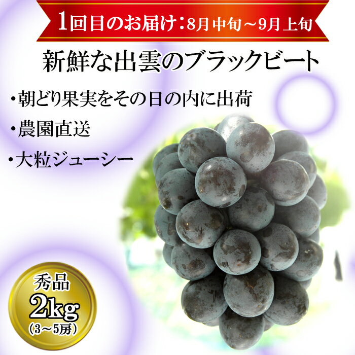 【ふるさと納税】【2026年8月中旬以降発送】【2回定期便】【農家直送】厳選シャインマスカットとブラックビートの定期便 | 2種のぶどうを食べ比べ！ブラックビートとシャインマスカットをお届けします