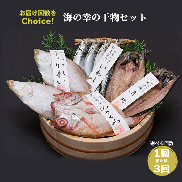 [緊急支援品]海の幸 干物 セット B 単発 3ヵ月 定期便 のどぐろ 真鯵 カレイ うるめイワシ 詰め合わせ ギフト魚 さかな 魚介 魚介類