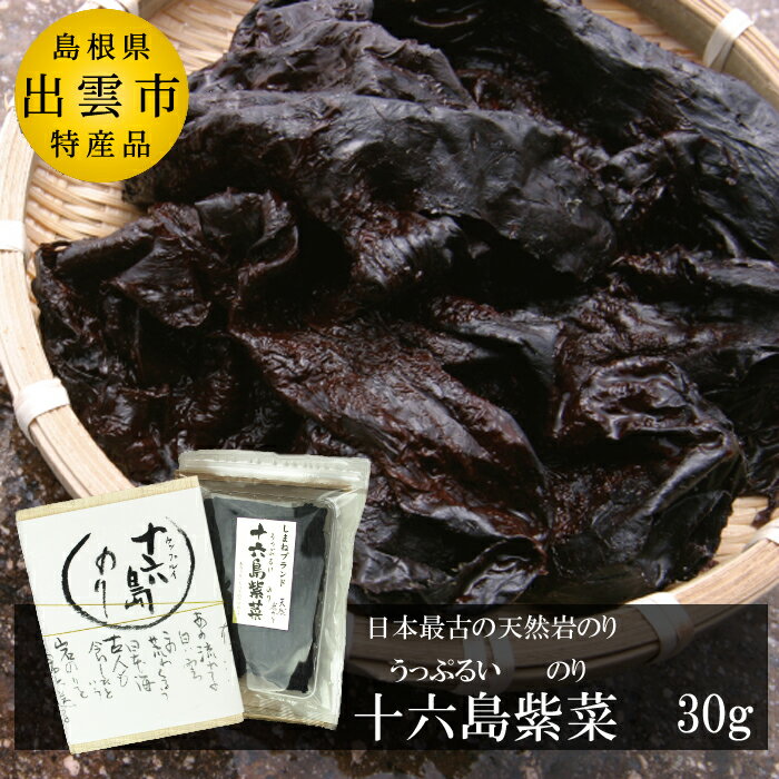 11位! 口コミ数「0件」評価「0」【緊急支援品】十六島 海苔 1袋 30g | ノリ 希少 天然 岩のり 岩海苔 高級 返礼品 人気 おすすめ お取り寄せ グルメ 正月 雑煮･･･ 