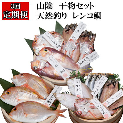 【緊急支援品】【定期便3回】風味豊かな出雲のお魚詰合わせ 魚 さかな 魚介 魚介類 お取り寄せ グルメ 人気 おすすめ おいしい 美味しい 調理 料理 ご飯 晩ご飯 おかず 島根県 出雲市