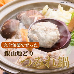 【ふるさと納税】完全無薬で育った銀山地どりの『つみれ鍋』セット 鍋料理 お取り寄せ グルメ ご当地鍋 ラーメン