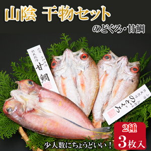 【ふるさと納税】海の幸 干物 セット C 甘鯛 のどぐろ | 魚 さかな 魚介 ひもの 島根県 出雲市