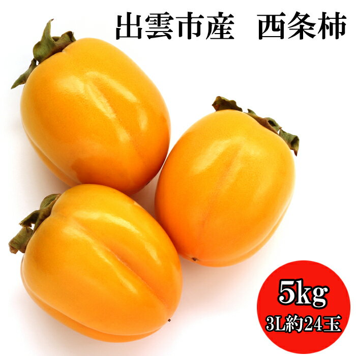 出雲市産西条柿 5kg(3L 約24玉)