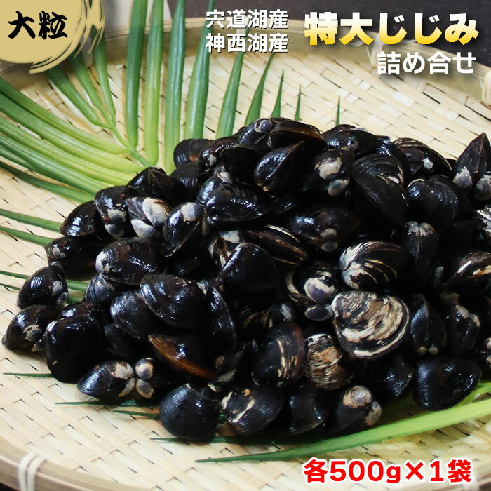 【ふるさと納税】厳選特大しじみ詰め合わせ 1kg (500g×2袋) 食べ比べ 宍道湖 神西湖 小分け 砂抜き済 貝 詰め合わせ お取り寄せ グルメ kai cai 栄養 料理 調理 レシピ 蜆 島根県 出雲市