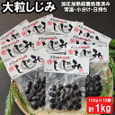 21位! 口コミ数「0件」評価「0」神西湖 しじみ 1kg ( 100g × 10パック ) | 常温 日持ち 小分け 個包装 蜆 貝 kai cai 調理 料理 味噌汁 みそ･･･ 