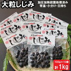 【ふるさと納税】神西湖 しじみ 1kg ( 100g × 10パック ) | 常温 日持ち 小分け 個包装 蜆 貝 kai cai 調理 料理 味噌汁 みそ汁 酒蒸し パスタ お取り寄せ グルメ 人気 おすすめ 島根県 出雲市