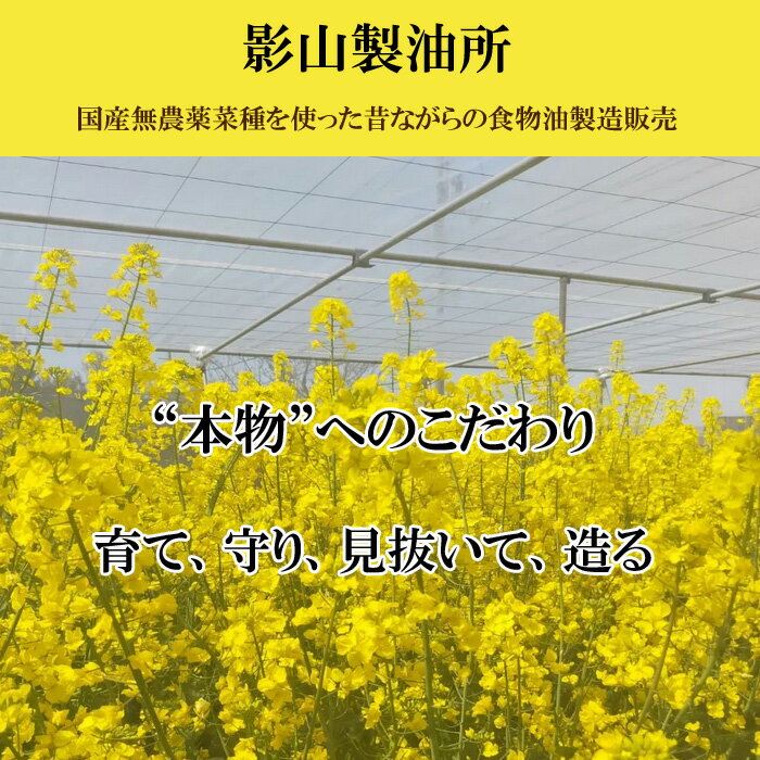 【ふるさと納税】出雲の縁結びな種油 菜種油 なたね油 国産 あぶら 圧搾 一番搾り 選べる セット 内容460g×1本 または460g×3本