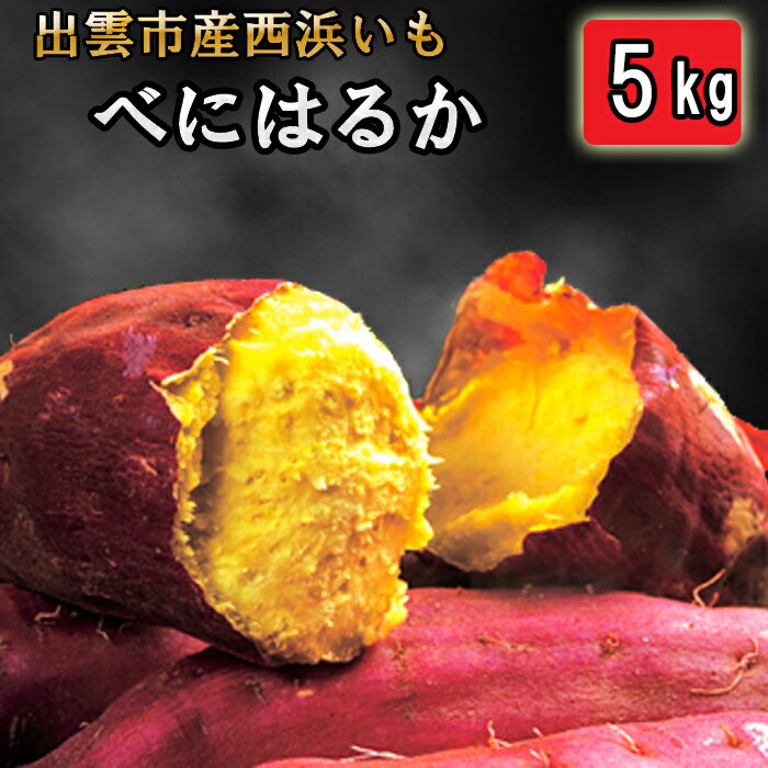 【ふるさと納税】西浜いも（べにはるか）5kg お任せ べにはるか さつまいも さつま芋 芋 いも 島根県 出雲市
