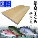 【ふるさと納税】銀杏のまな板 特大サイズ 魚用 1枚 長さ60cm 幅30cm 厚さ30mm 無料カット加工サービスあり まないた 木製 日本製 国産 キッチン 料理 包丁 一枚板 新生活 島根県 出雲市