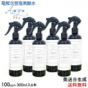 【ふるさと納税】電解次亜塩素酸水 100ppm 【スプレーボトル300ml 6本セット】 除菌・消臭