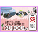【ふるさと納税】出雲市 デジタル地域通貨「いずも縁結びPAY」 いずもふるさと納税ポイント30,000pt(1pt=1円)【30,000円分 電子決済 キャッシュレス 飲食 宿泊 体験 電子マネー 島根県 出雲市】