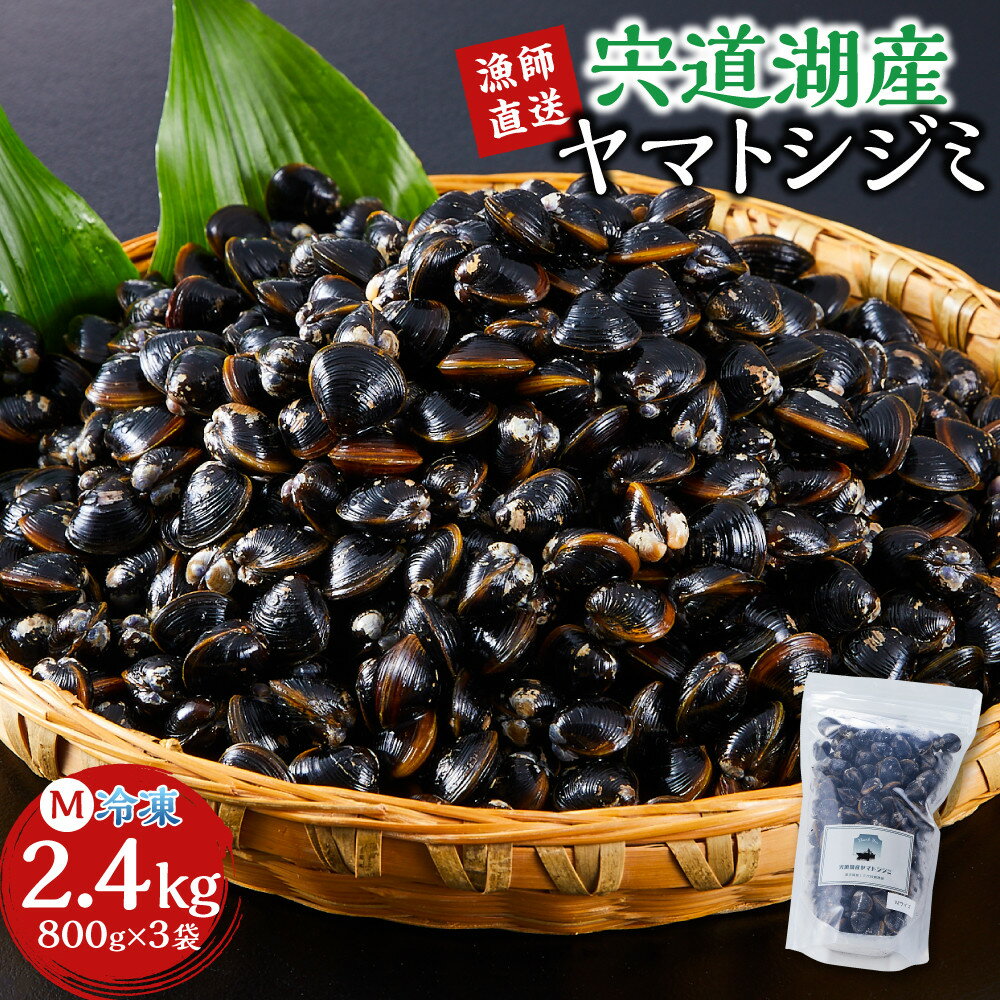 【ふるさと納税】漁師直送！宍道湖産ヤマトシジミ・Mサイズ冷凍2.4kg | 漁師直送！しじみ汁にぴったりなシジミをたっぷりとお届けします！