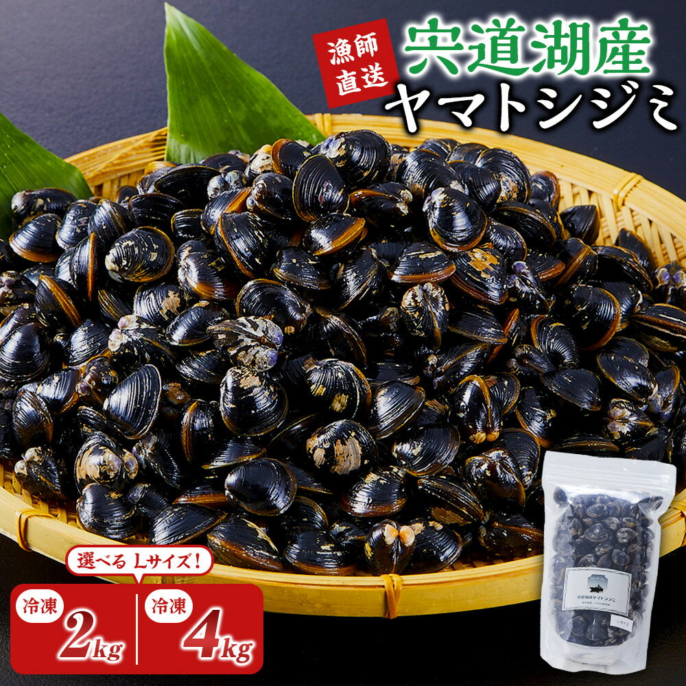 【ふるさと納税】【選べる内容量】漁師直送！宍道湖産ヤマトシジミ・Lサイズ冷凍 | 漁師直送！食べ応えのある宍道湖産ヤマトシジミをお届けします！