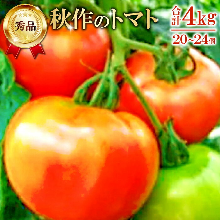 先行予約 朝採り 真赤な益田SUNトマト 4kg 秀品 20〜24玉入×1ケース 野菜 とまと 秋作 トマトジュース お弁当 サラダ 季節限定 期間限定 早期予約 10月1日頃〜10月31日頃発送 特産品 お取り寄せ グルメ