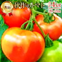 6位! 口コミ数「0件」評価「0」 先行予約 朝採り 真赤な益田SUNトマト 4kg 秀品 20〜24玉入×1ケース 野菜 とまと 秋作 トマトジュース お弁当 サラダ 季節･･･ 