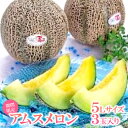 【ふるさと納税】 アムスメロン 特大 5L サイズ 3玉入り 先行予約 数量限定 期間限定 季節限定 早期予約 果物 くだもの フルーツ メロン 3玉 青肉 ギ...