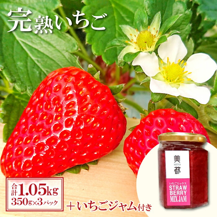 5位! 口コミ数「4件」評価「5」 先行予約 完熟いちご 350g×3パック いちごジャム 150g セット 果物 フルーツ 苺 紅ほっぺ かおりの よつぼし おいCベリー ･･･ 