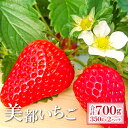 【ふるさと納税】 先行予約 完熟いちご 350g×2パック 果物 フルーツ 苺 初物 美都いちご 紅ほっぺ かおりの よつぼし おいCベリー 新鮮 農家直送 ジ...