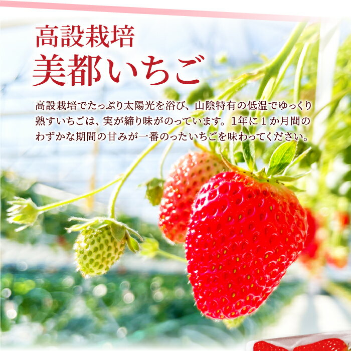 島根県益田市の画像3