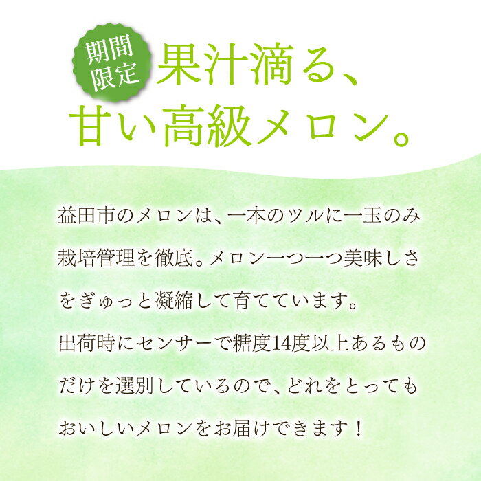 【ふるさと納税】 先行予約 アールスメロン 2玉 果物 フルーツ メロン 秋作 高糖度 糖度14度以上 季節限定 期間限定 早期予約 10月発送 特産品 お取り寄せ グルメ