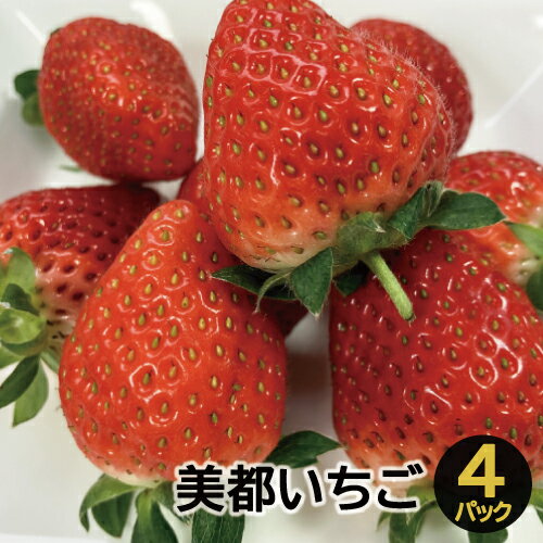 【ふるさと納税】A-536美都いちご(300gtimes;4パック)