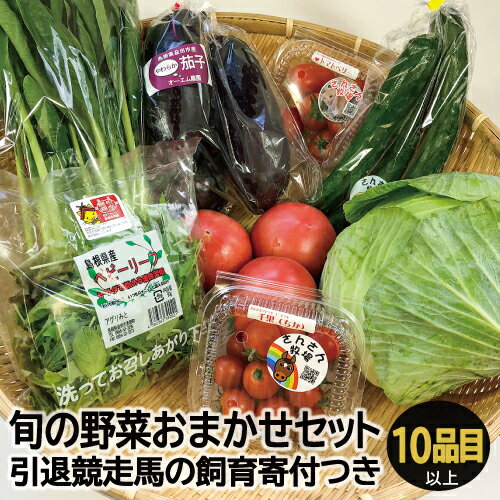 【ふるさと納税】 旬の野菜おまかせセット 10品目以上 引退競馬の飼育寄付付き 国産 島根県産 益田市産 野菜 旬 季節の野菜 新鮮 おまかせ お楽しみ 飼育寄付 飼育費 野菜 規格外品 引退競走馬 馬の写真 近況報告 詰め合わせ セット 特産品 お取り寄せ