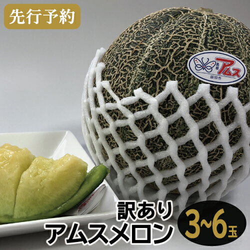 記事番号:33752/アイテムID:359083の画像