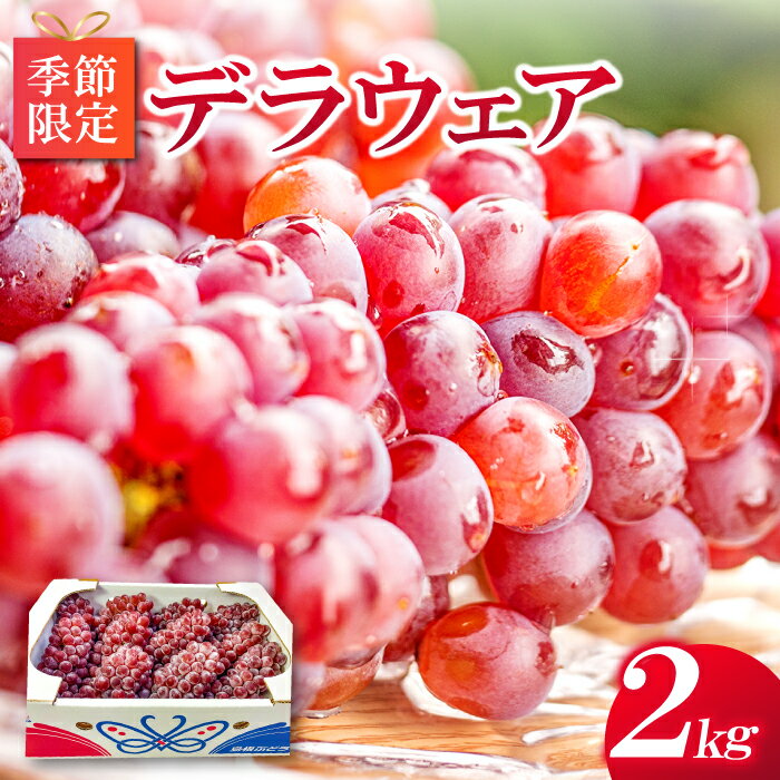 【ふるさと納税】 デラウエア 2kg 先行予約 期間限定 季節限定 早期予約 果物 くだもの フルーツ 葡萄 ブドウ ぶどう デラウェア