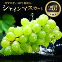 【ふるさと納税】 シャインマスカット 2房 皮ごと食べられる 果物 フルーツ ぶどう ブドウ マスカット 新鮮 甘い 大粒 大きい 先行予約 季節限定 期間限定 特産品 お取り寄せ グルメ