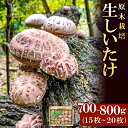 2位! 口コミ数「0件」評価「0」 先行予約 原木生しいたけ 700〜800g 15〜20枚 野菜 きのこ 椎茸 珍しい 原木栽培 塩焼き バター醤油 季節限定 期間限定 早･･･ 