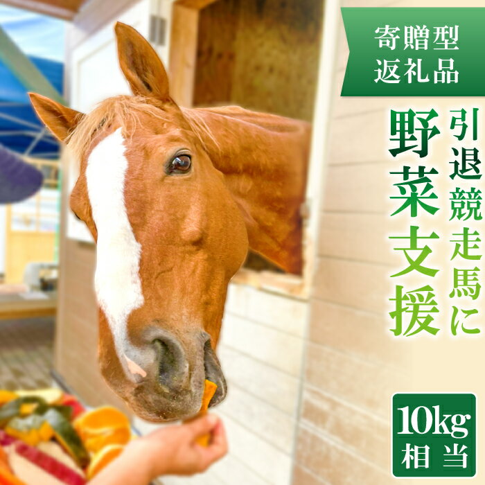 [思いやり型返礼品]引退競走馬 野菜支援 野菜 果物 フルーツ 10kg相当 馬の好物 人参 バナナ さつまいも りんご 思いやり型返礼品 寄贈型 あしなが型 馬 引退競走馬 セカンドキャリア ホースセラピー 乗用馬 サラブレッド