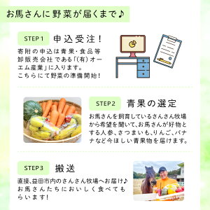 【ふるさと納税】 【思いやり型返礼品】引退競走馬 野菜支援 野菜 果物 フルーツ 10kg相当 馬の好物 人参 バナナ さつまいも りんご 思いやり型返礼品 寄贈型 あしなが型 馬 引退競走馬 セカンドキャリア ホースセラピー 乗用馬 サラブレッド