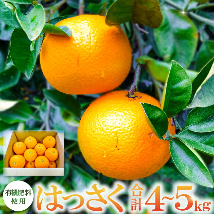 【ふるさと納税】 先行予約 八朔 4〜5kg 15〜20個 果物 フルーツ 柑橘類 はっさく 有機肥料使用 期間...