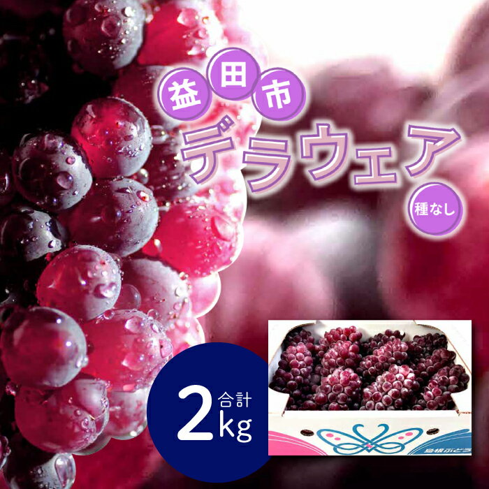 【ふるさと納税】 デラウェア 種なし 2kg 旬 果物 フルーツ ぶどう ブドウ デラウエア 新鮮 甘い 先行予約 季節限定 期間限定 冷蔵 特産品 お取り寄せ グルメ